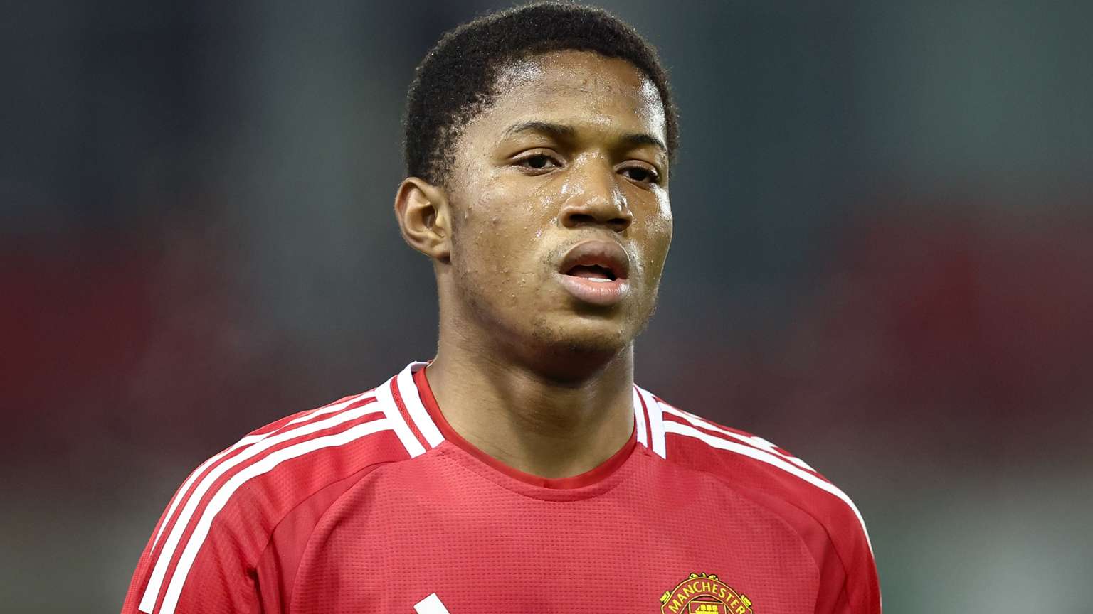 够从中获得 够从中获得