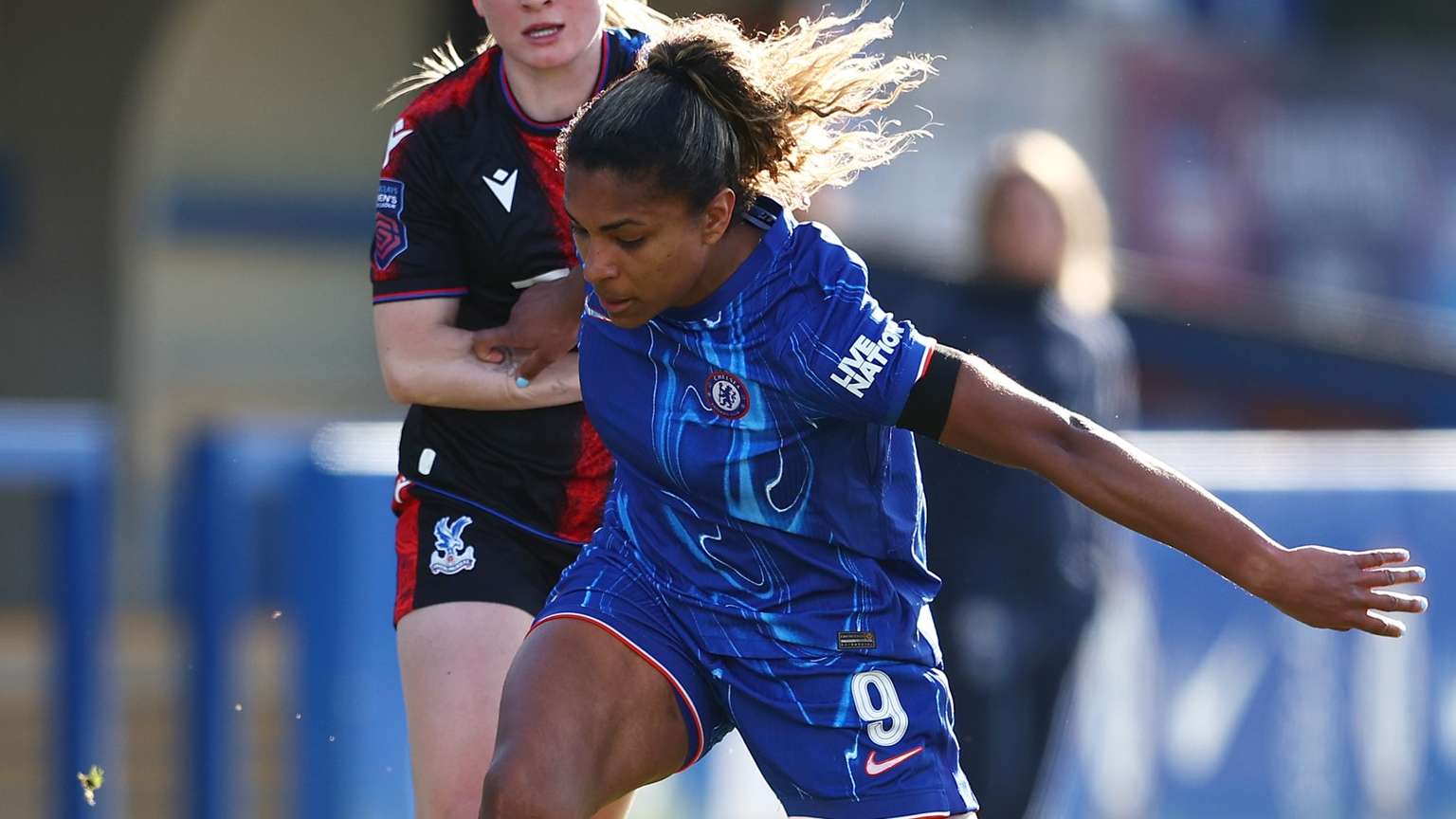 諾維茨基的 諾維茨基的