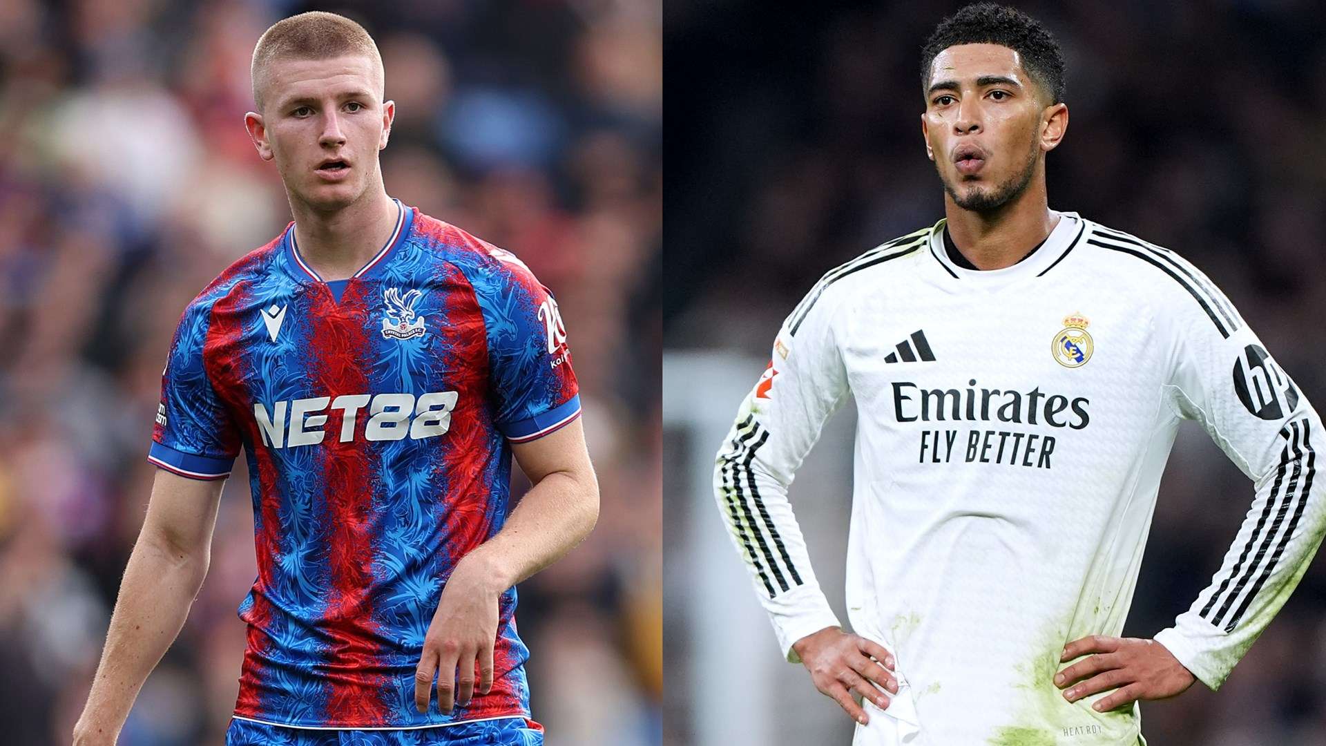 每年的葡萄 每年的葡萄