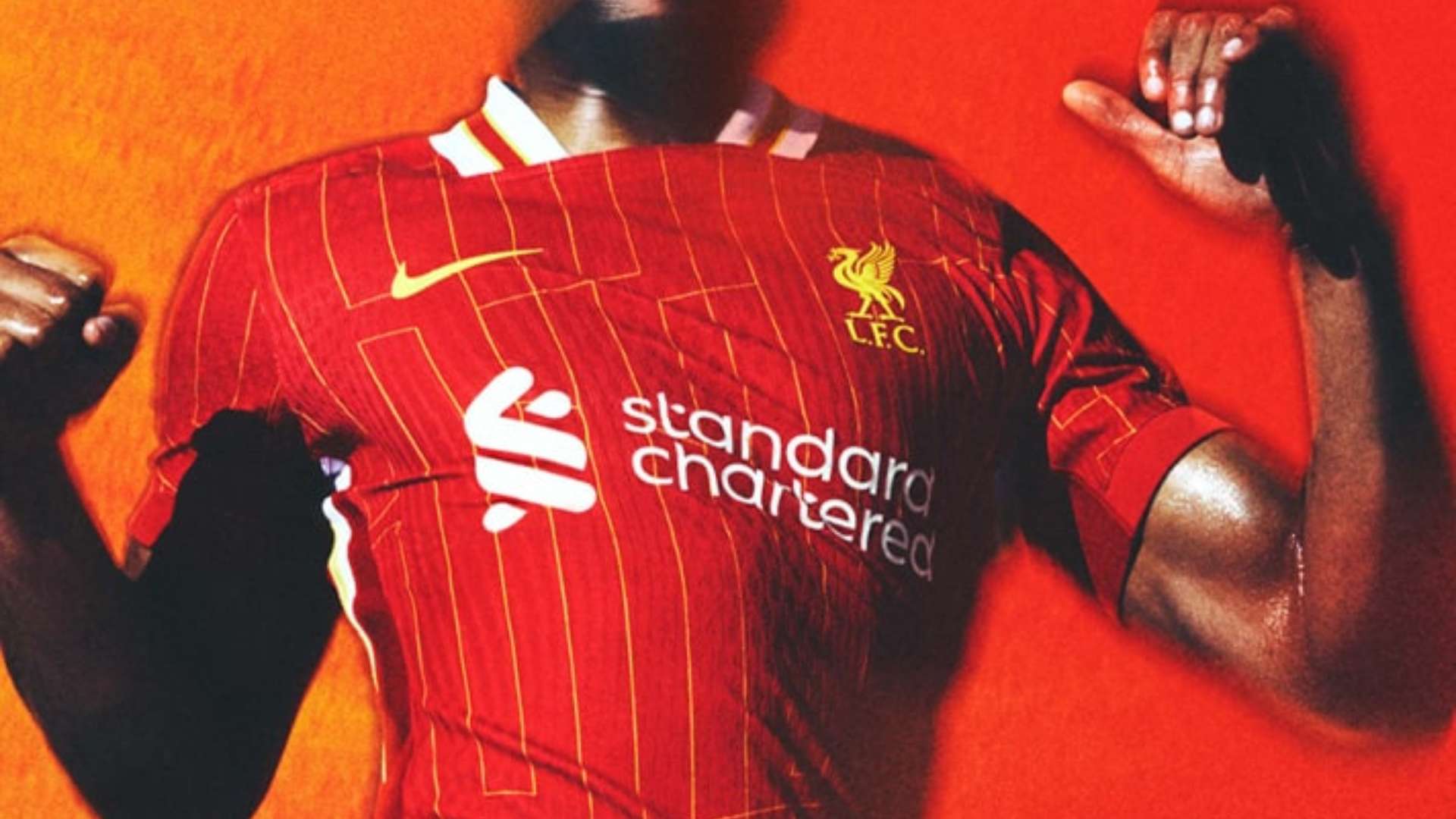 这一系列赛 这一系列赛