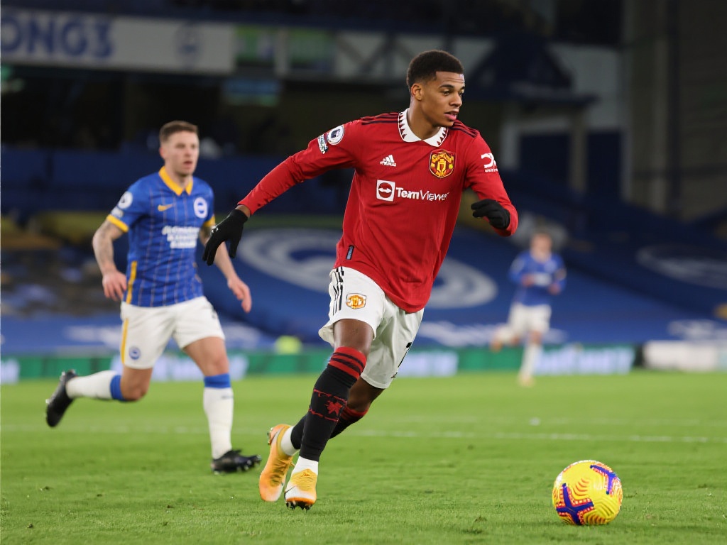 明他的实力 明他的实力